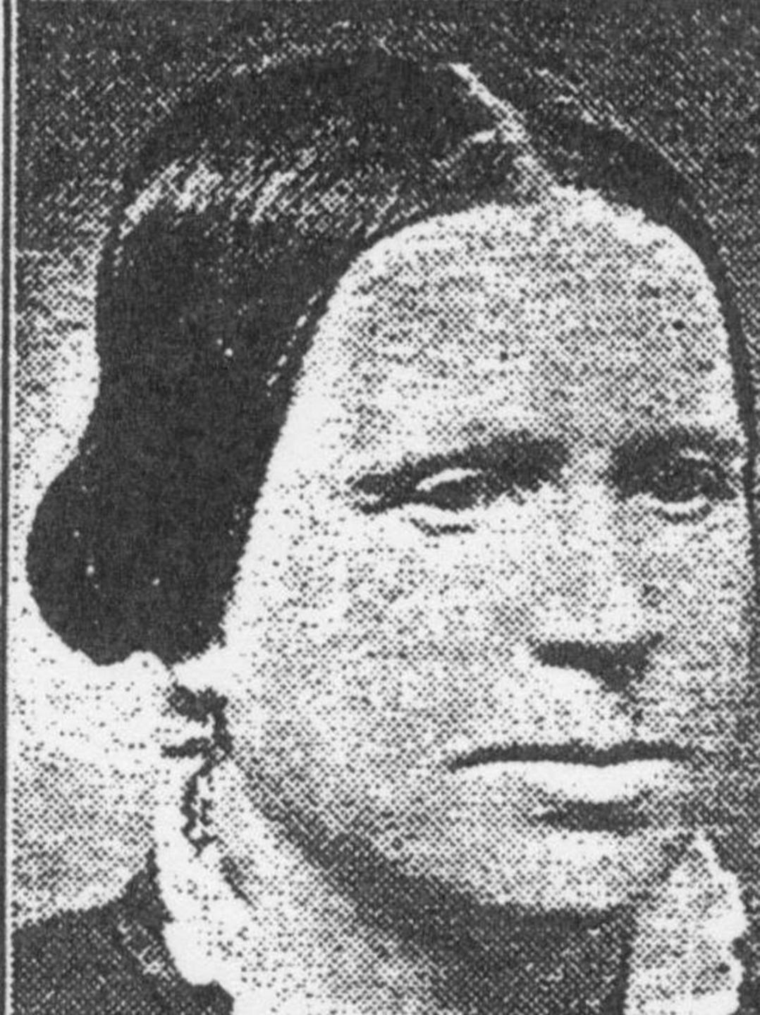 Lydia Webster (1828 - 1919) Profile